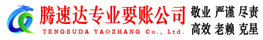 丰顺腾速达清债公司